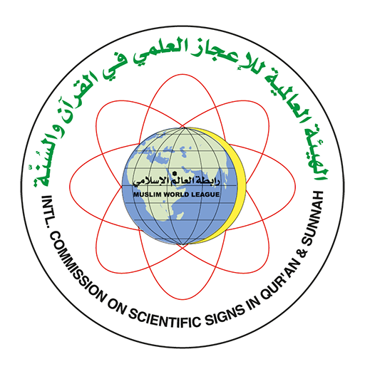 اسم الموقع