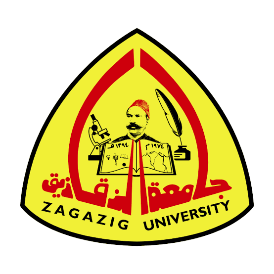 اسم الموقع